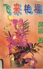 飞来艳福   1998  PDF电子版封面  7807053611  （台湾）席娟著 