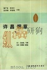 许昌烟草纵横   1991.2  PDF电子版封面    张广全，宋书士主编 