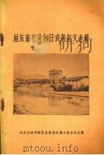 桂东南兴业抗日武装起义专辑（1985 PDF版）
