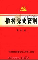 榆树党史资料  第一辑   1990  PDF电子版封面    中共榆树县委党史工作办公室编 