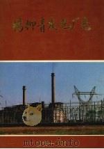 杨柳青发电厂志  1958—1988   1991  PDF电子版封面    彭家荣主编 