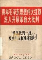 高举毛泽东思想伟大红旗深入开展革命大批判  彻底批判一批反动小说和反动影片   1970  PDF电子版封面  10106·612   