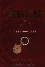 枣庄市冶金工业志  初稿  第一卷  1840-1985（1986 PDF版）