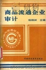商品流通企业审计   1994  PDF电子版封面  7500524889  杨锦昶主编 