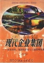 现代企业集团：资本经营、集团化扩张与工商管理实务  第3卷   1998  PDF电子版封面  7505102680  《现代企业集团》编委会编 