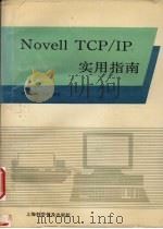 Novell TCP/IP实用指南   1994  PDF电子版封面  7542707396  徐亚等编著 