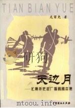 天边月：龙莆尧获奖广播剧剧本集（1999 PDF版）