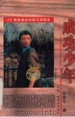 成功少年  20集电视连续剧文学剧本（1998 PDF版）