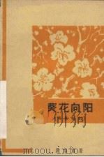 葵花向阳  独幕话剧（1963 PDF版）