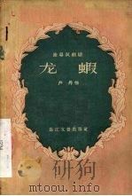 龙虾  独幕讽刺剧   1956  PDF电子版封面  T10107·26  卢丹著 