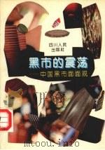 黑市的震荡  中国黑市面面观   1993  PDF电子版封面  7220022816  张毅著 