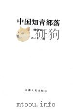中国知青部落  修订本   1993  PDF电子版封面  7201015001  郭小东著 