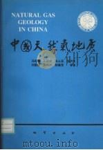 中国天然气地质（1995 PDF版）