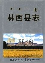林西县志   1999  PDF电子版封面  7204023161  林西县志编纂委员会编 