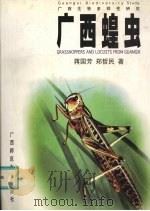 广西蝗虫   1998  PDF电子版封面  7563327363  蒋国芳，郑哲民著（南京师范大学生命科学院） 