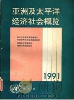 1991年亚洲及太平洋经济社会概览   1992  PDF电子版封面  9211196019  亚洲及太平洋经济社会委员会编 