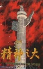 精神之火  中华民族精神与当代青少年使命   1996  PDF电子版封面  7535811914  沈其新等著 