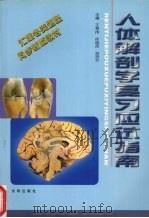 人体解剖学复习应试指南（1998 PDF版）