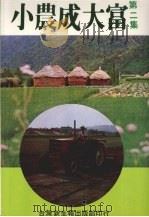 小农成大富  第二集   1981  PDF电子版封面    台湾新生报社农业经济版编辑室主编 