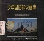 少年国防知识画库  今日台湾武器装备（1992 PDF版）
