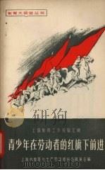 青少年在劳动者的红旗下前进   1958  PDF电子版封面  7150·344  上海市教育与生产劳动相结合展览会编 