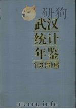 武汉统计年鉴  1996（1996 PDF版）