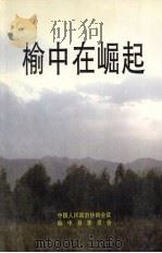 榆中文史资料  第3辑  榆中在崛起   1995  PDF电子版封面    中国人民政治协商会议榆中委员会 