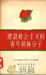 建设社会主义的青年积极分子   1956  PDF电子版封面    中国新民主主义青年团湖北省委员会宣传部辑 