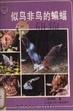 似鸟非鸟的蝙蝠（1987 PDF版）