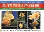 金花茶彩色图集（1992 PDF版）