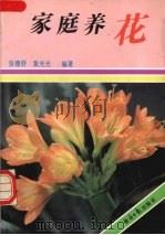 家庭养花   1991  PDF电子版封面  7800364089  张穆舒，黄光光编著 