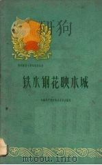 铁水钢花映水城   1960  PDF电子版封面  3115·132  中国共产党水城县委员会编写 