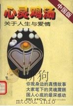 心灵鸡汤  关于人生与爱情  中国版（1999 PDF版）