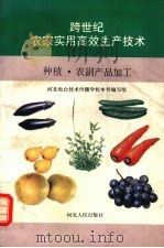跨世纪农家实用高效生产技术  种植·农副产品加工（1997 PDF版）