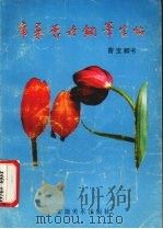 席慕蓉诗词钢笔字帖（1990 PDF版）
