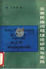 云南民族问题理论研究与实践   1986  PDF电子版封面  17184·45  王连芳著 