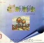 风景图案   1999  PDF电子版封面  7533012704  刘金平编绘 