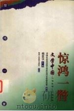 惊鸿一瞥  文学中国  1949-1999   1999  PDF电子版封面  754197711X  杨匡汉主编；中国社会科学院文学所当代文学研究室编写 