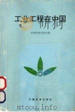 工业工程在中国   1994  PDF电子版封面  7506609630  中国标准化协会编 