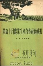 革命十月农业生产合作社的成长   1956  PDF电子版封面    张勇，焦殿珍著 
