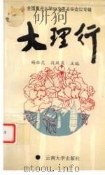 大理行   1994  PDF电子版封面  7810254774  大理州政府办公室，云南大学中文系编 