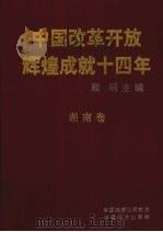 中国改革开放辉煌成就十四年  湖南卷   1993  PDF电子版封面  7501720975  顾明主编 