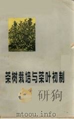 茶树栽培与茶叶初制   1974  PDF电子版封面  16173·23  福建省宁德地区茶叶科学研究所编著 