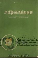 小球藻的培养和利用   1961  PDF电子版封面    广西壮族自治区科学技术情报研究所编 