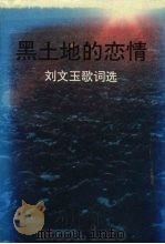 黑土地的恋情  刘文玉歌词选   1994  PDF电子版封面  7205031303  刘文玉著 