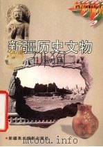 新疆历史文物   1999  PDF电子版封面  7805477868  王炳华主编；刘文锁著文 