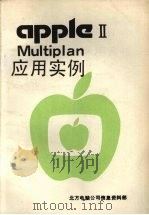 Multiplan应用实例     PDF电子版封面    张慧宁译 