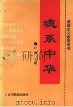 魂系中华（1995 PDF版）