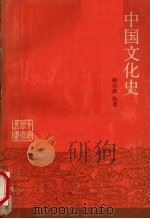 中国文化史  上   1988  PDF电子版封面  7500000359  柳诒征编著 