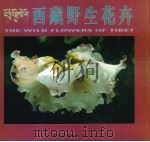 西藏野生花卉  中英文本（1999 PDF版）